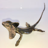 Bronze frilly neck Lizard