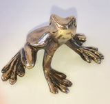 Bronze Shiny Frog
