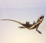 Bronze shiny Lizard