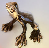 Bronze Shiny Frog