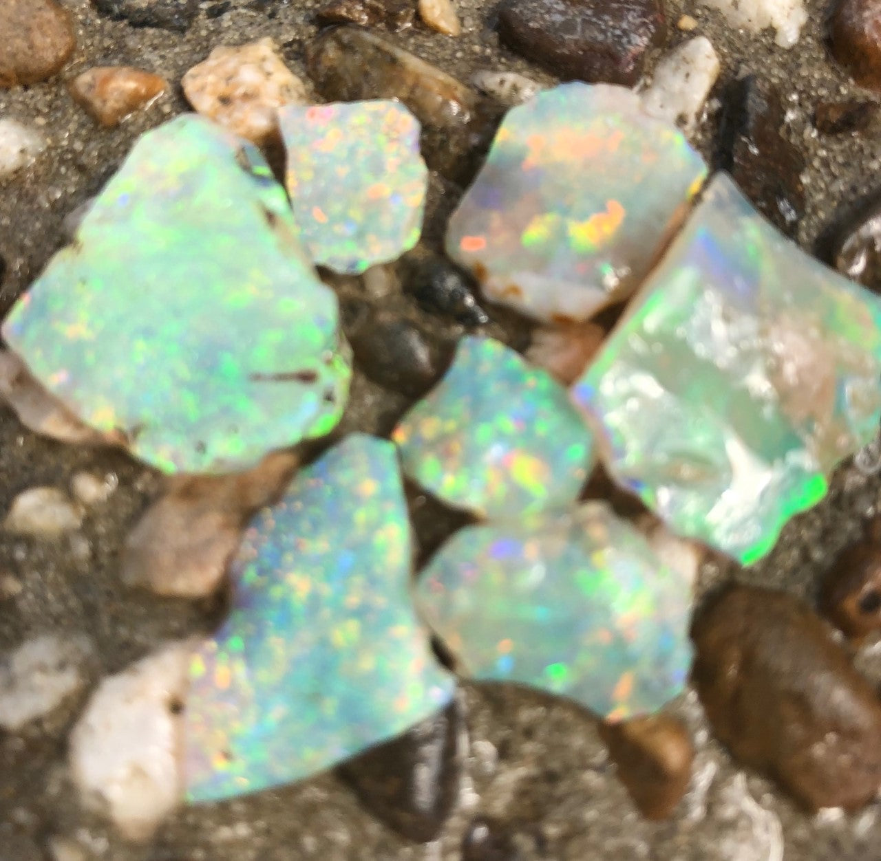 Bright Rough Crystal Opal  from Lightning Ridge