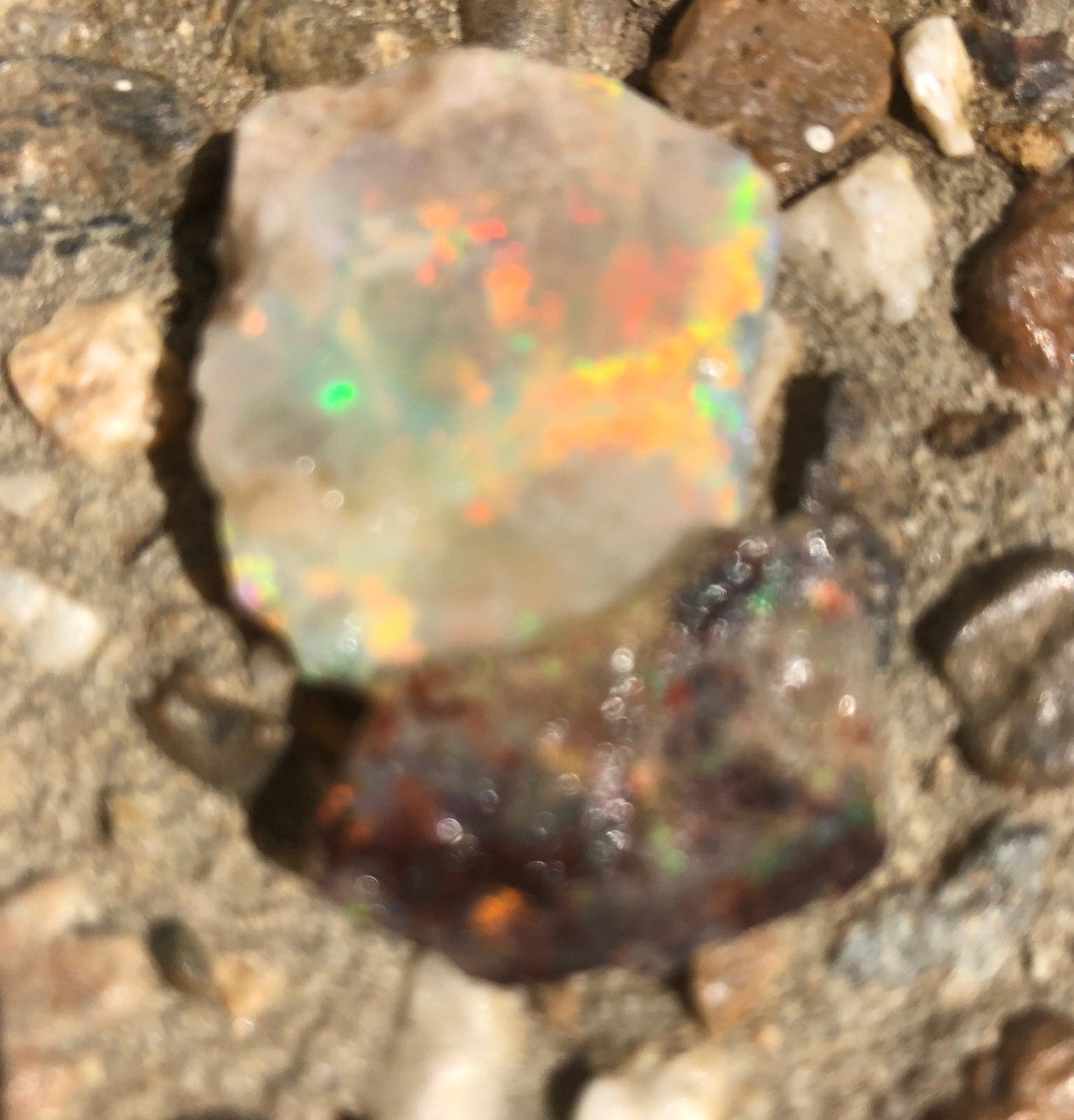 Rough seam and  jelly Opal  from Lightning Ridge