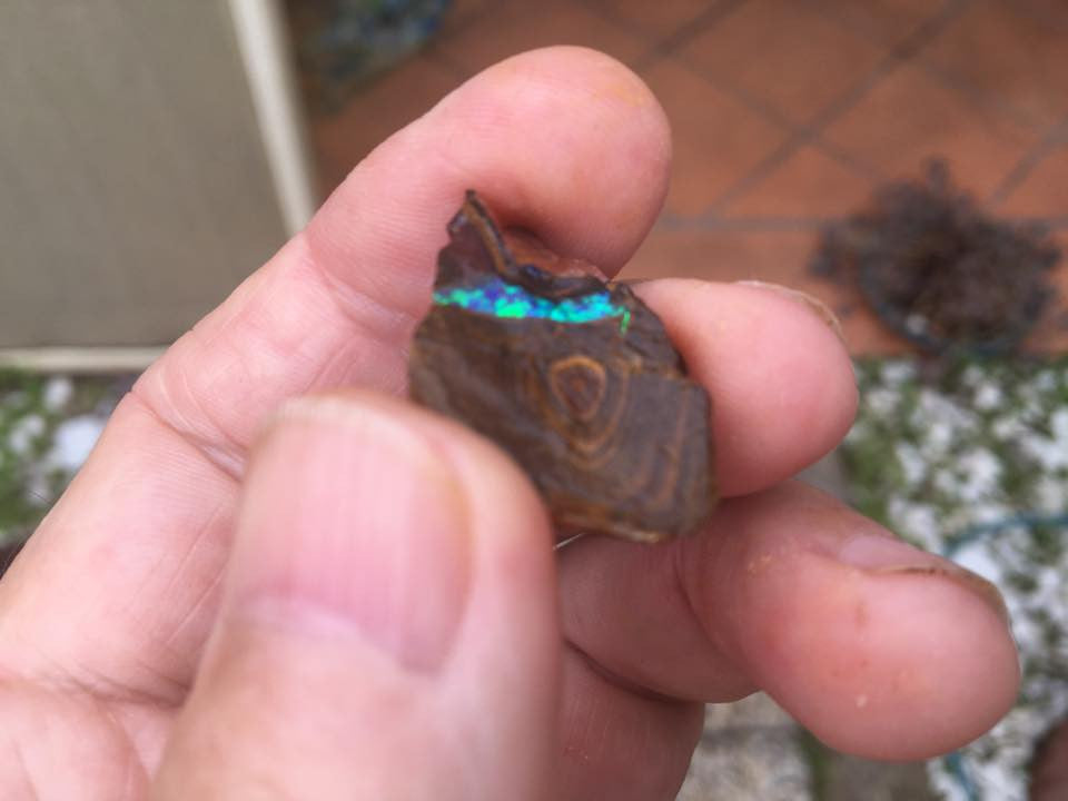 Rough boulder opal, bright green bar of opal