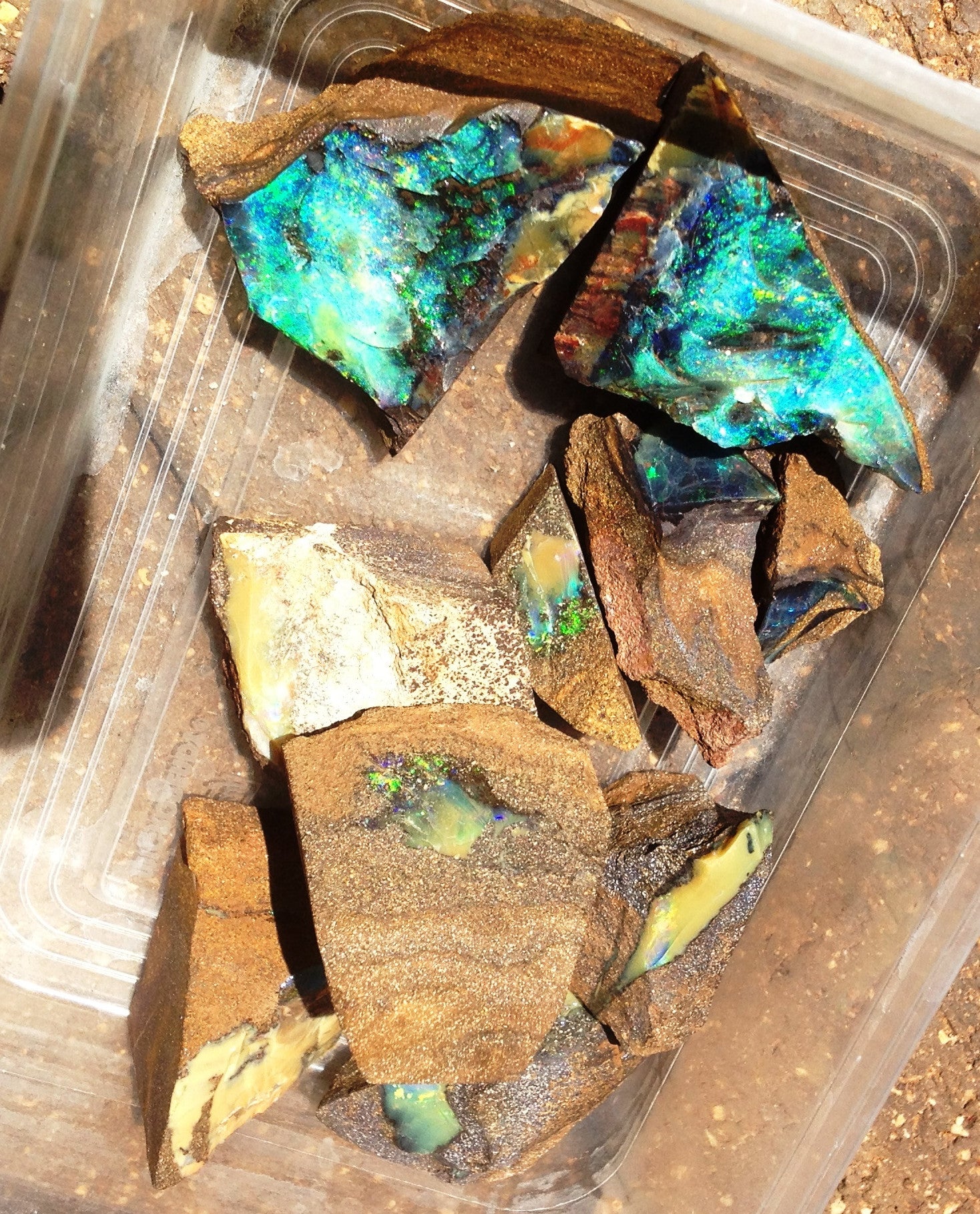 Parcel of rough Quilpie boulder opal