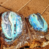 Natural split pair of green and blue boulder opal