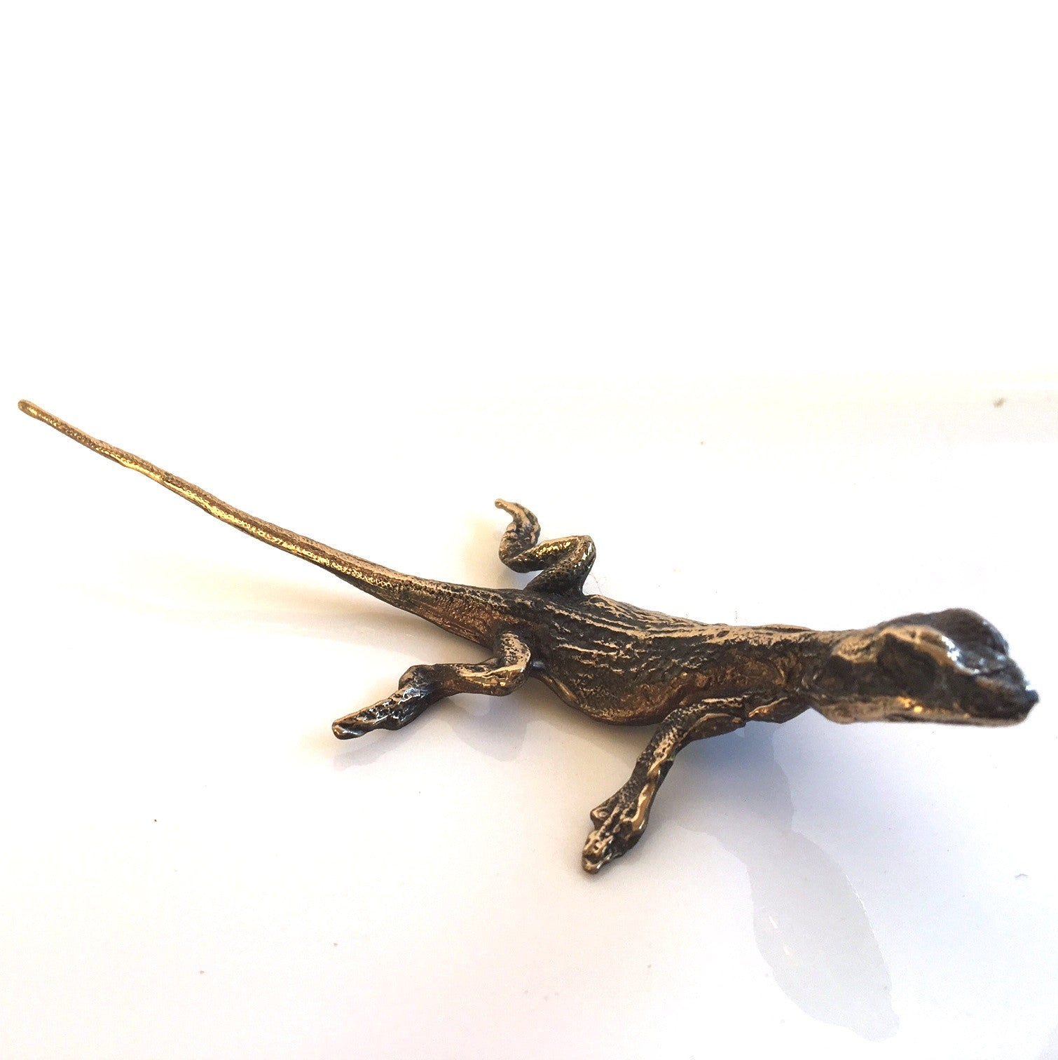 Bronze Lizard