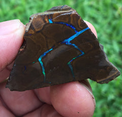 Blocked out boulder opal with blue bars