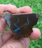 Blocked out boulder opal with blue bars