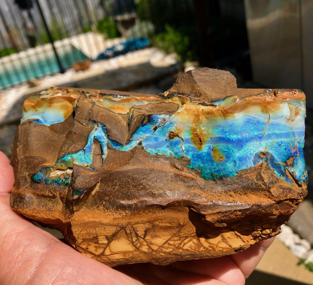 Rough Boulder opal with Gemmy face and bars