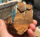 Rough Boulder opal with Gemmy face and bars