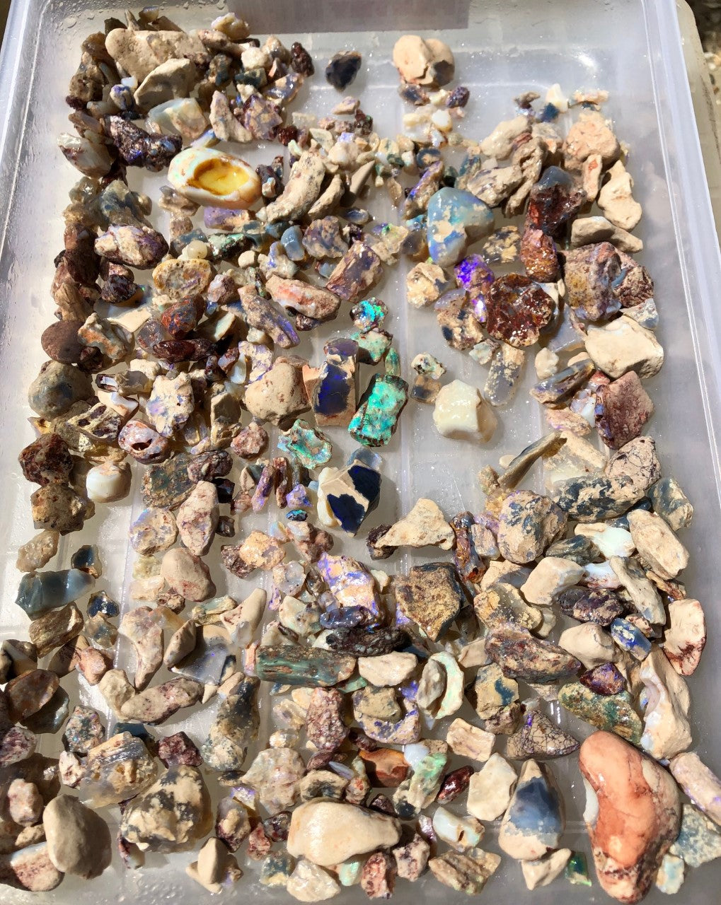 500 Grams of Rough Nobby Fossil Opal from Lightning Ridge