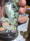 285 carats of rough L/R opal